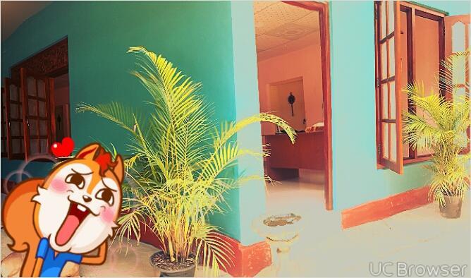 Apple Sara Home Stay キャンディー エクステリア 写真